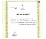 کسب و کار پاره وقت دولتی