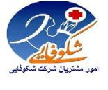 شرکت خدماتی پرستاری شکوفایی