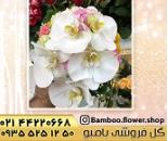 گلفروشی در شهرک آزمایش