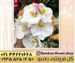 گلفروشی در ساعی