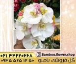 گلفروشی در والفجر