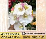 گلفروشی در ارامنه