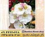 گلفروشی در حقوقی